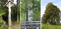 025 hollauer kreuz und miethinger linden - kh